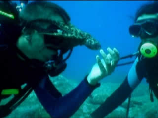 صور Madeira, diving غوص